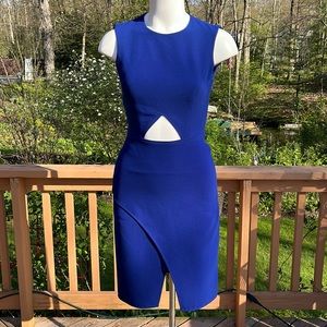 NWOT BCBGMaxAzria bodycon dress 2-4